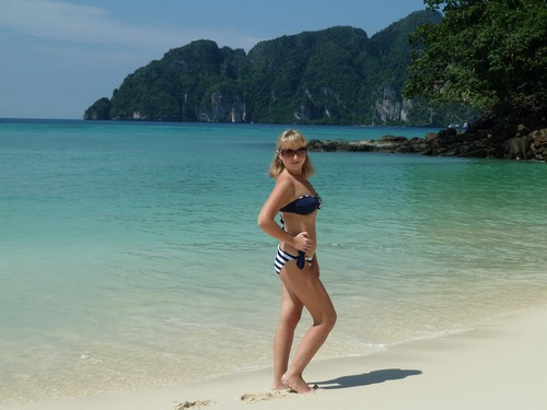 2011 �������