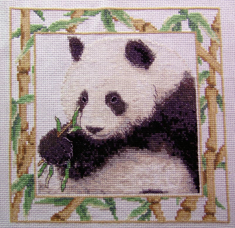 panda
