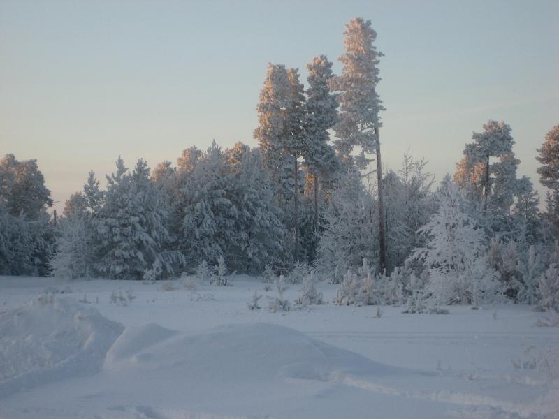���� 2011