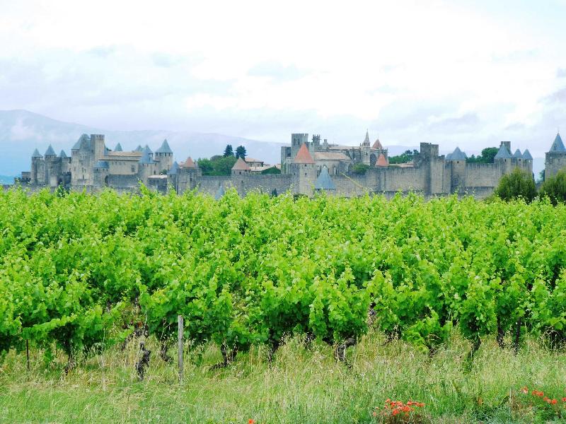 ��������� (Carcassonne)