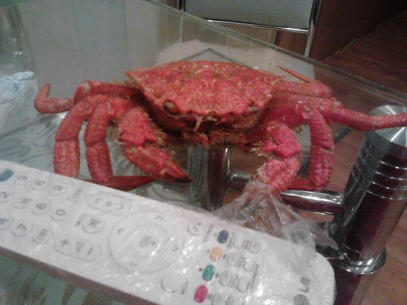 ���� ���������� � ��������� �����