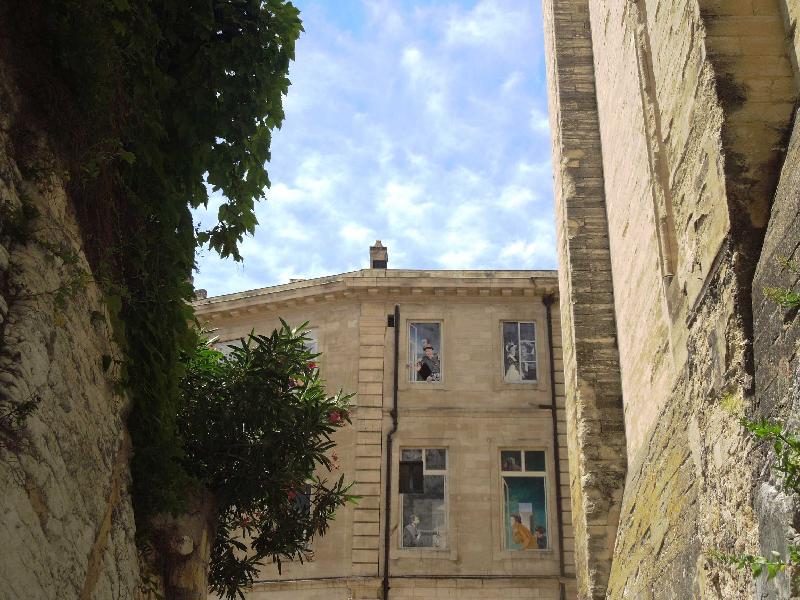 ����� ������� (Avignon)