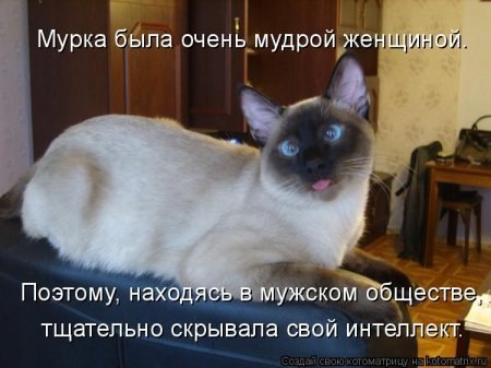������� ��������