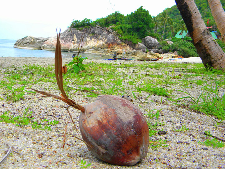 �����
