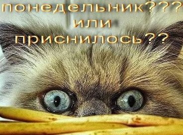 ������ ���� ������� � ������� - 3
