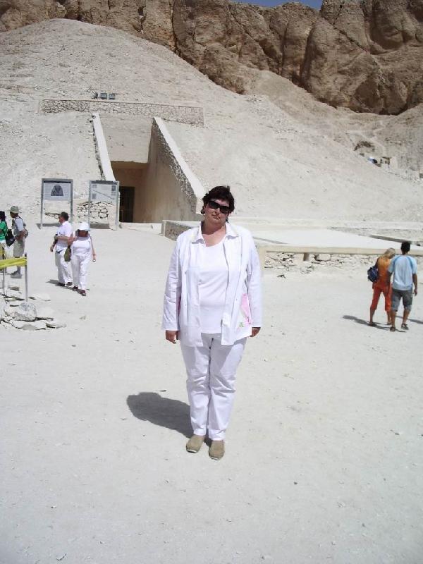��� 2006