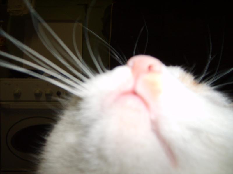 ����