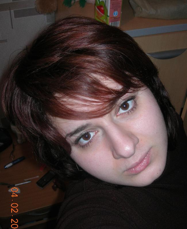 2007 ���