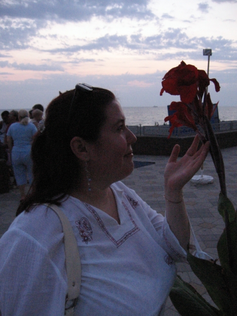 ����-2006