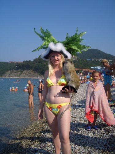 ���� 2006