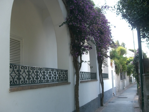 capri