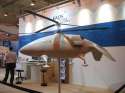 �������� Shark- �����