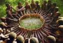 sunflower!