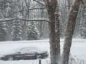 winter wonderland!01-01-08!