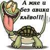 darishka
