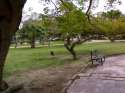 park