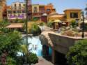 TENERIFE