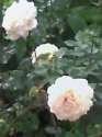 25-06-07_1854.jpg