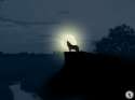alone