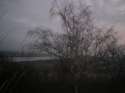 Wisla