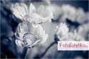 ������� ���� ��� ������ - FotoEstetika ����� ��!
�������������� ����������� � ������ � ����������� - www.FotoEstetika.ru