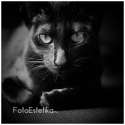 ������� ���� ��� ������ - FotoEstetika ����� ��!
�������������� ����������� � ������ � ����������� - www.FotoEstetika.ru