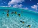����������� � relax