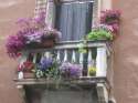 ����� �������