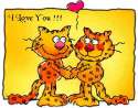 I love you