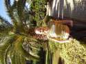 ����
