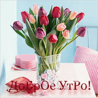 8953252a2a68.gif