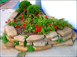 garden_layout.jpg