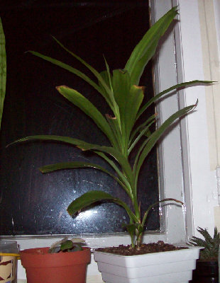 100_1839.jpg
