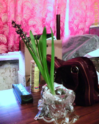 200803191705_021.jpg