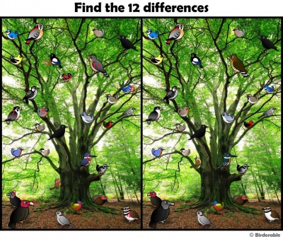 find_differences_1.jpg